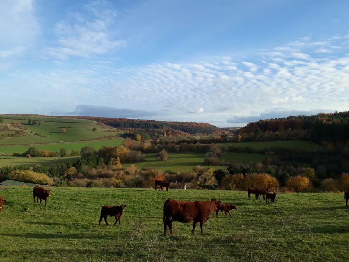 Gite Aux Lauriers Lacroix-sur-Meuse Екстериор снимка
